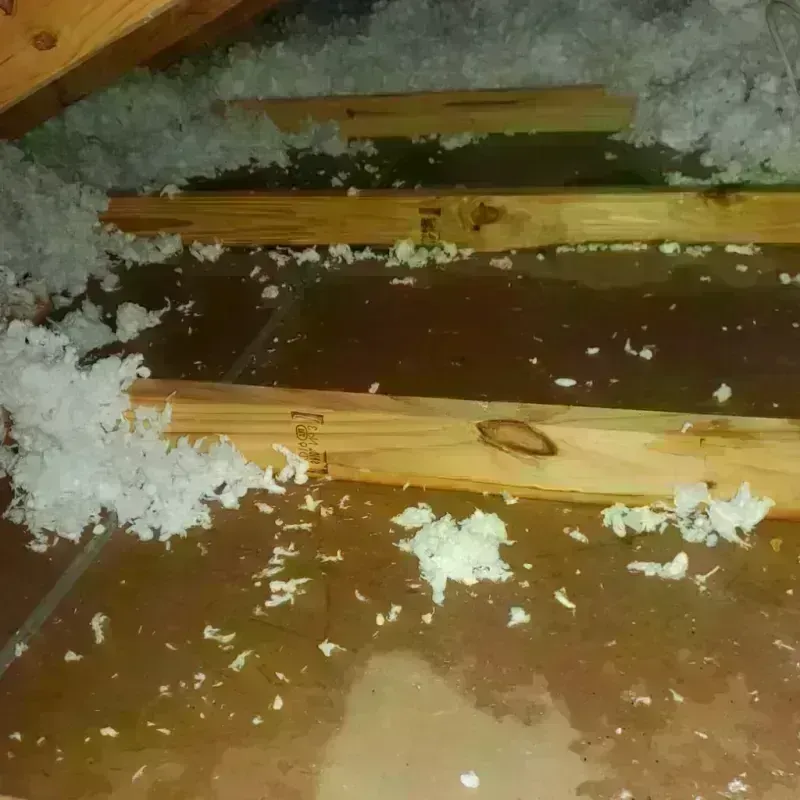 Attic Water Damage in Arnett, OK