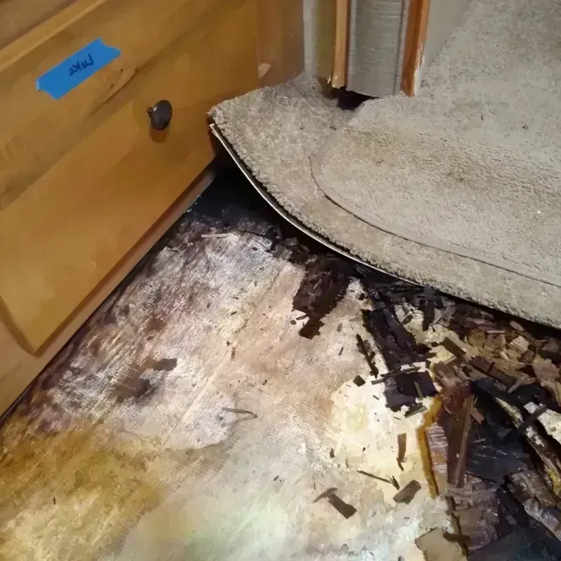 Best Wood Floor Water Damage Service in Arnett, OK